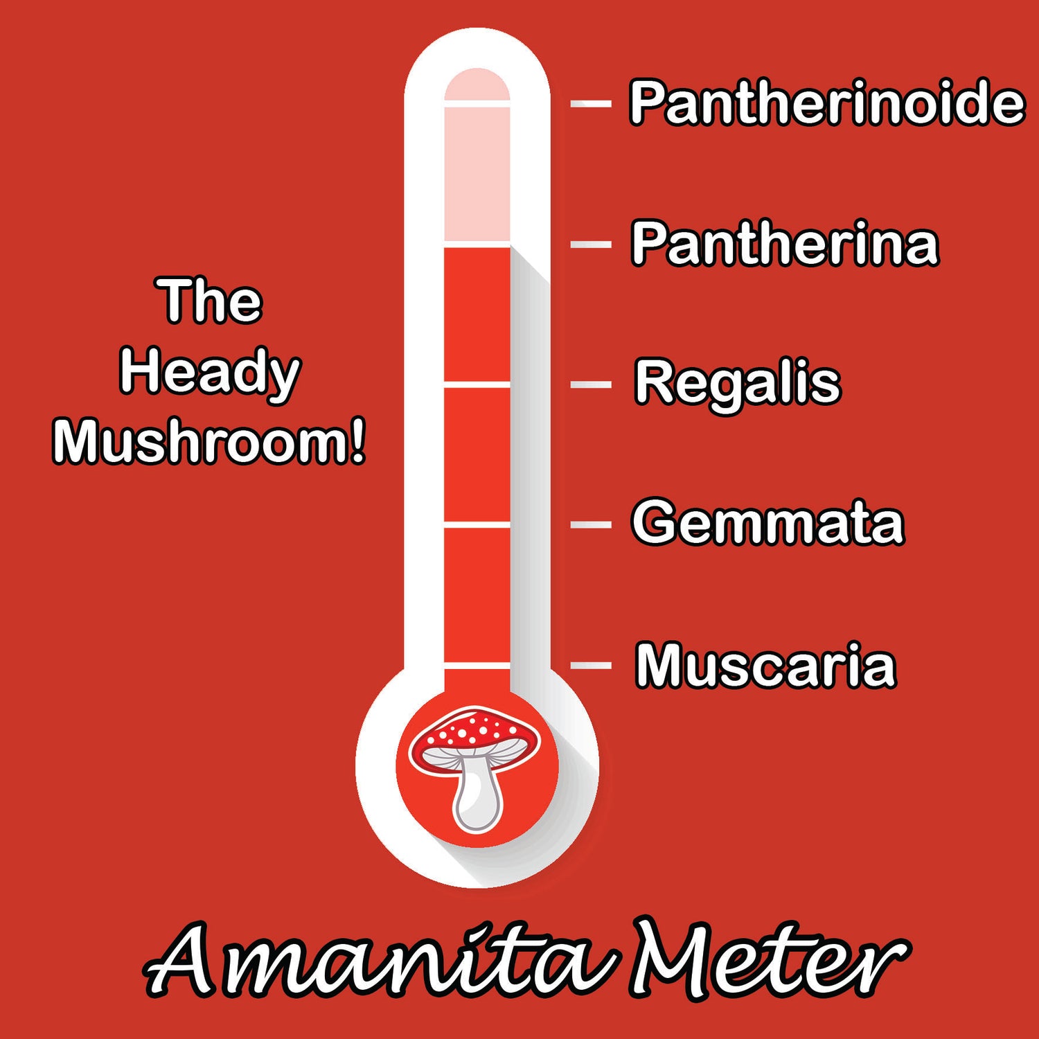 amanita pantherina meter