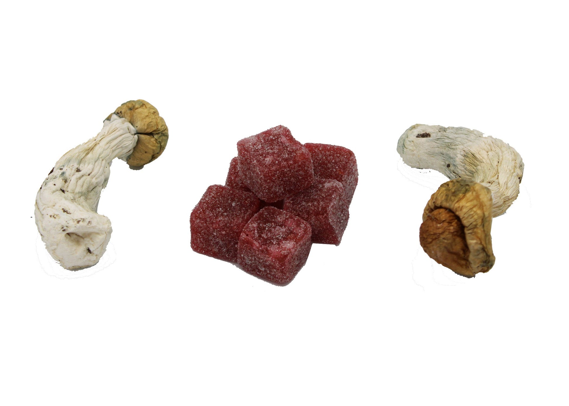 Wholesale Magic Mushroom Gummies