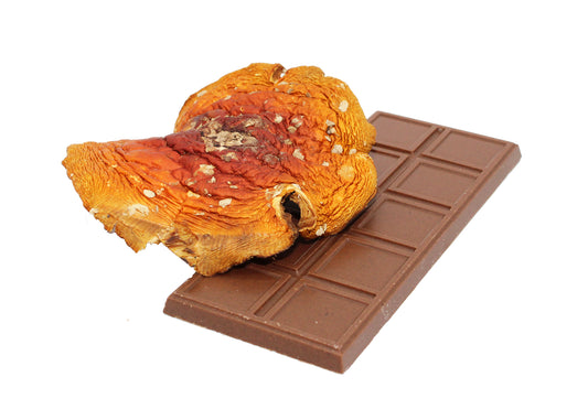 Amanita Muscaria Chocolate
